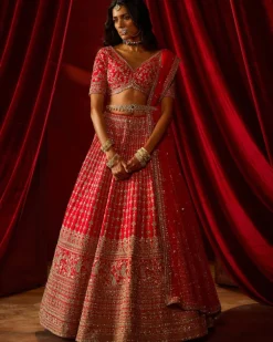 Rani Aahana Lehenga Set