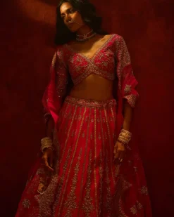Rani Aakruti Lehenga Set