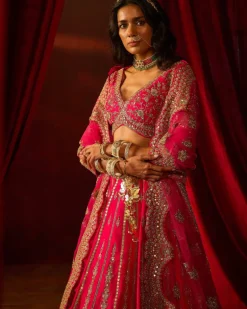 Rani Aakruti Lehenga Set