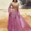 Rani Sa Gem Sharara Set