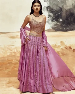 Rani Sa Gem Sharara Set
