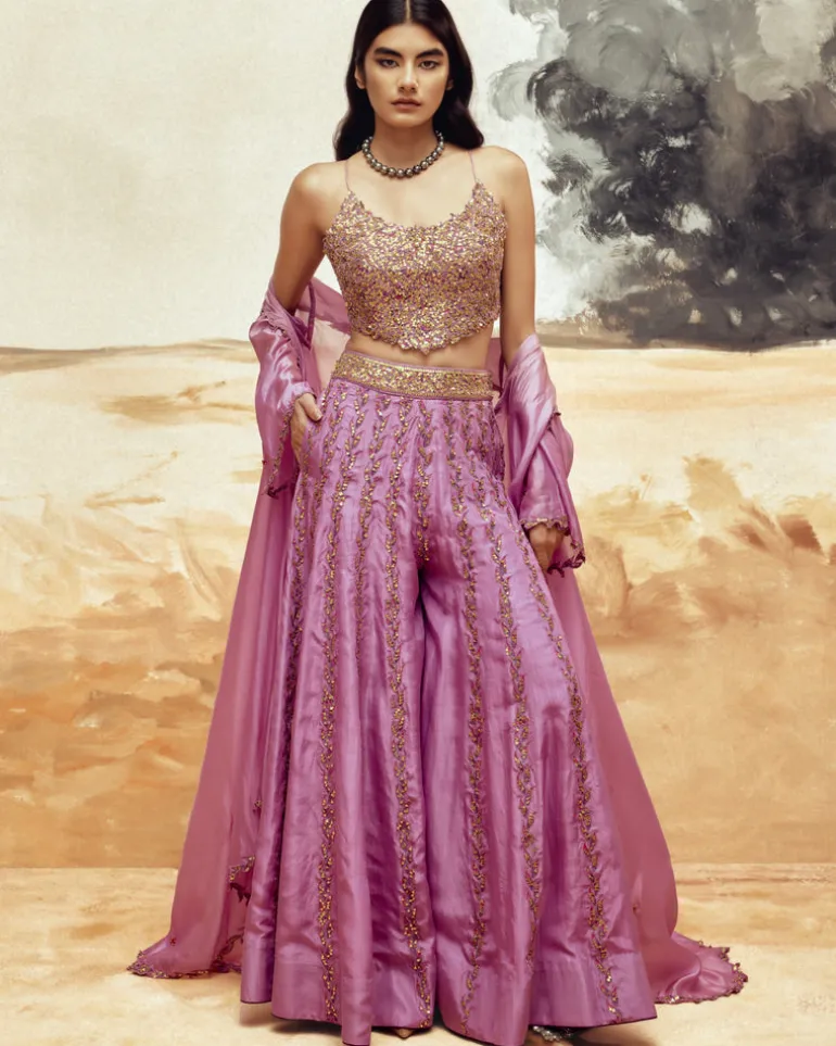 Rani Sa Gem Sharara Set
