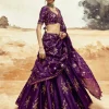 Ranisa Baingani Lehenga Set