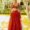 Red Bandhini, Poppies and Shells Crop