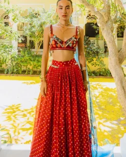 Red Bandhini, Poppies and Shells Crop