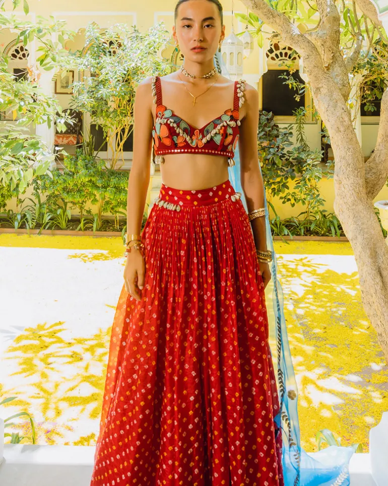 Red Bandhini, Poppies and Shells Crop