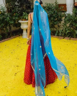 Red Bandhini, Poppies and Shells Crop