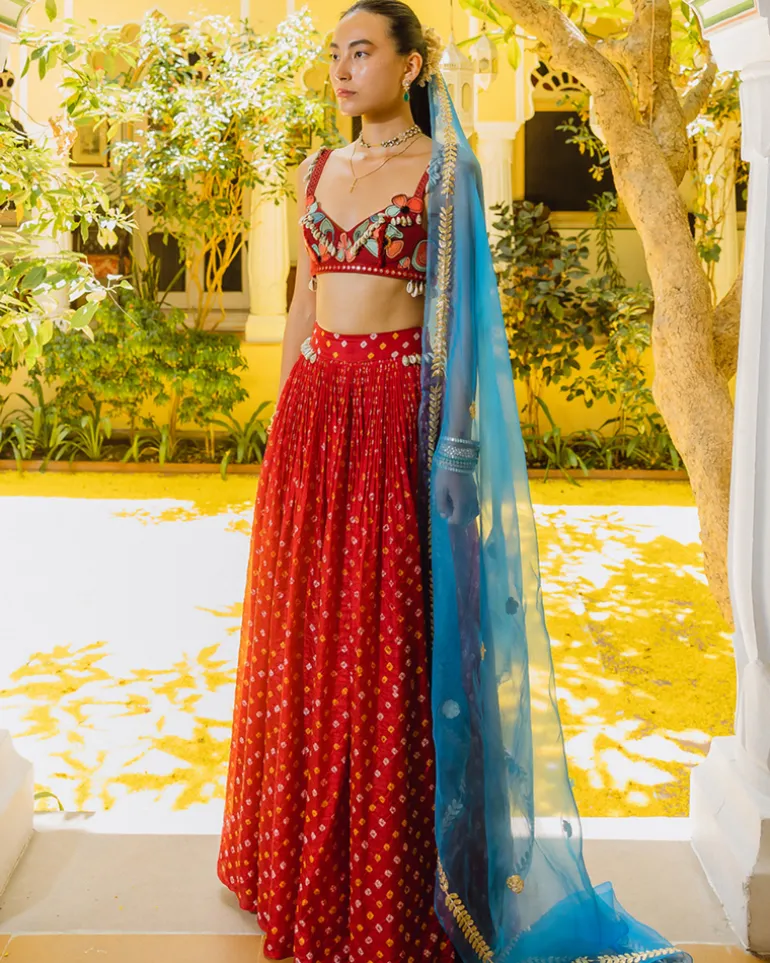 Red Bandhini, Poppies and Shells Crop