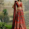 Red Box Pleat Panelled Lehenga Set