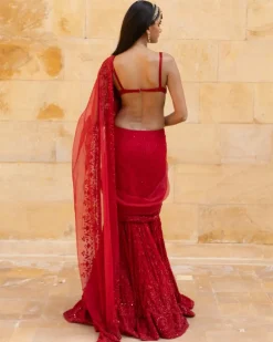 Red Embroidered Mermaid Sleeveless Sari Set