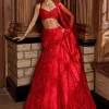 Red Intricate Paisley Lehenga Set
