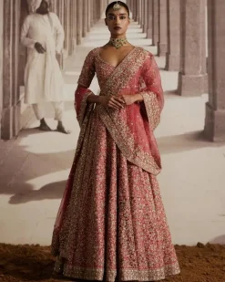 Red Lehenga With Embroidered Jaal