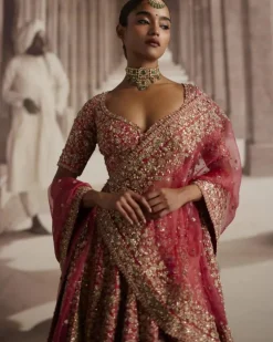 Red Lehenga With Embroidered Jaal