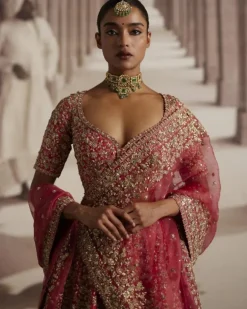 Red Lehenga With Embroidered Jaal