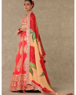Red Paan Patti Lehenga Set