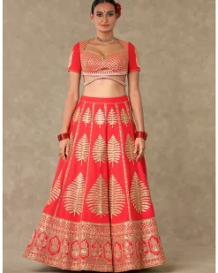 Red Paan Patti Lehenga Set