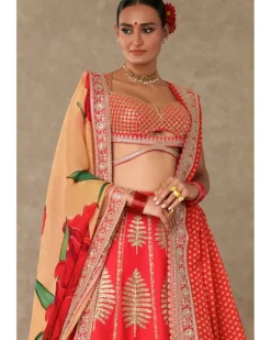 Red Paan Patti Lehenga Set