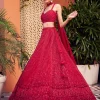 Red Rio Lehenga Set
