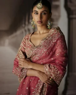 Red Sari With Jaal Blouse