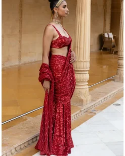 Red Sequins Embroidered Sari Set