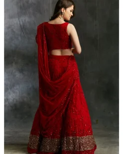 Red Sequins Lehenga With Gold Border