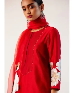 Red Silk Chanderi Hand-Painted Kurta Set