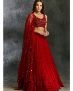 Red Thread work Lehenga With Embellished Choli