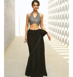Reva Pre-Drape Sari Set