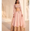 Rosaline Chikankari Lehenga Set