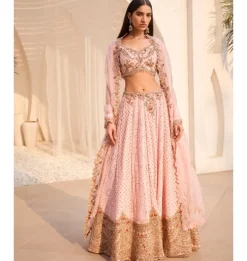 Rosaline Chikankari Lehenga Set