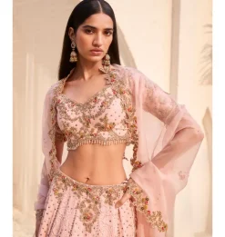 Rosaline Chikankari Lehenga Set