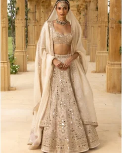 Rose Gold Coconut Embroidered Lehenga Set