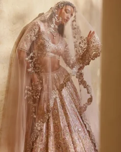 Rose Pink Mirror Lehenga Set