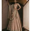 Rose Pink Panels Lehenga Set