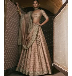 Rose Pink Panels Lehenga Set