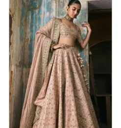 Rose Pink Panels Lehenga Set