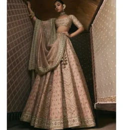 Rose Pink Panels Lehenga Set