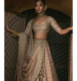 Rose Pink Panels Lehenga Set