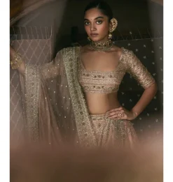 Rose Pink Panels Lehenga Set