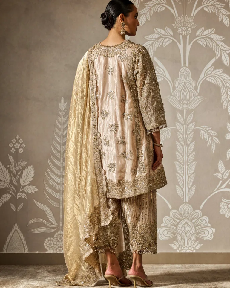Roshni Kurta Set