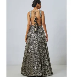 Roshni Lehenga Set