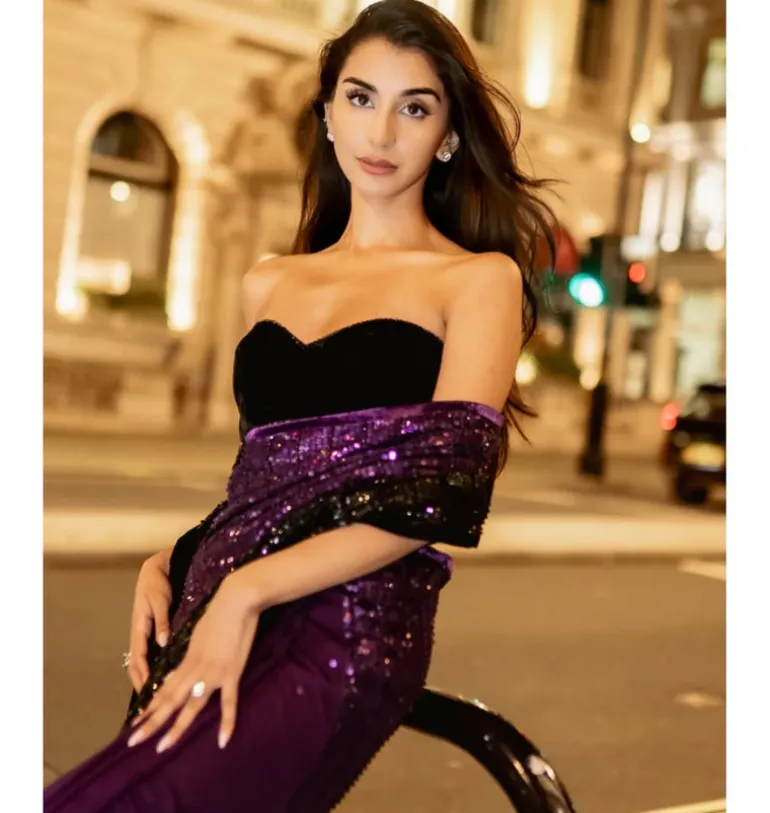 Royal Purple To Black Ombre Sari