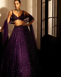 Royalty Purple Crystal Embroidered Lehenga Set