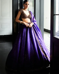 Royalty Purple Sequins Scattered Lehenga Set