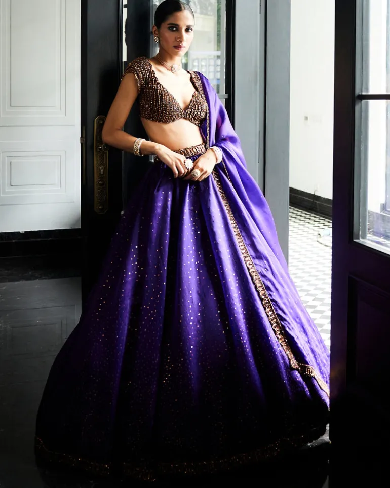 Royalty Purple Sequins Scattered Lehenga Set
