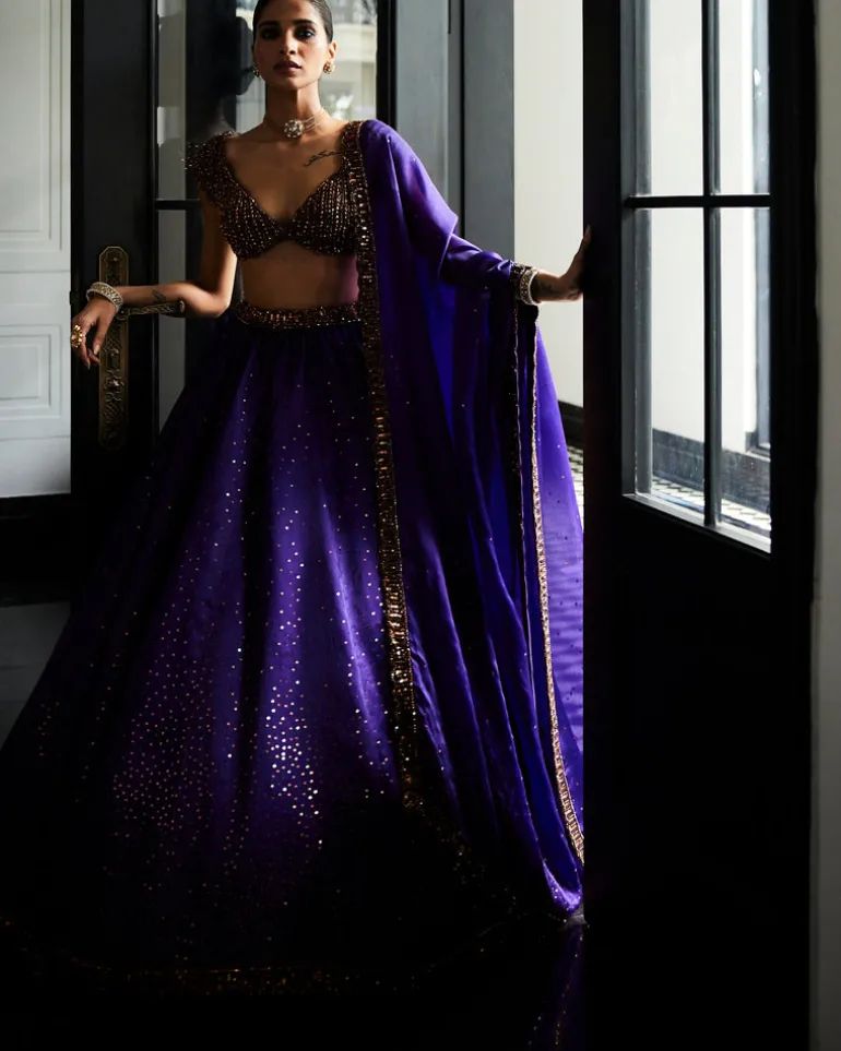 Royalty Purple Sequins Scattered Lehenga Set