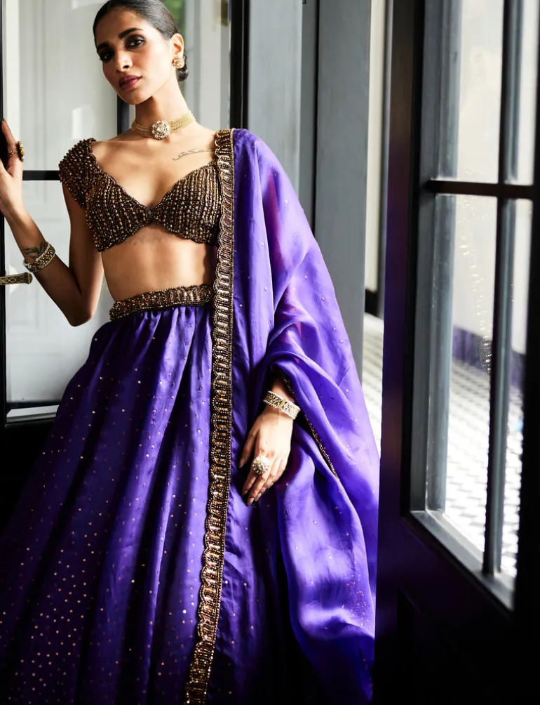 Royalty Purple Sequins Scattered Lehenga Set