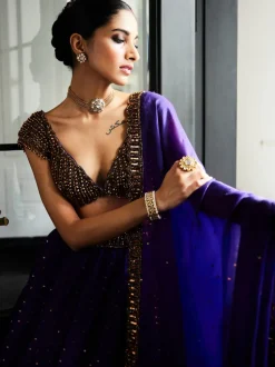 Royalty Purple Sequins Scattered Lehenga Set