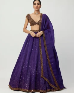 Royalty Purple Sequins Scattered Lehenga Set