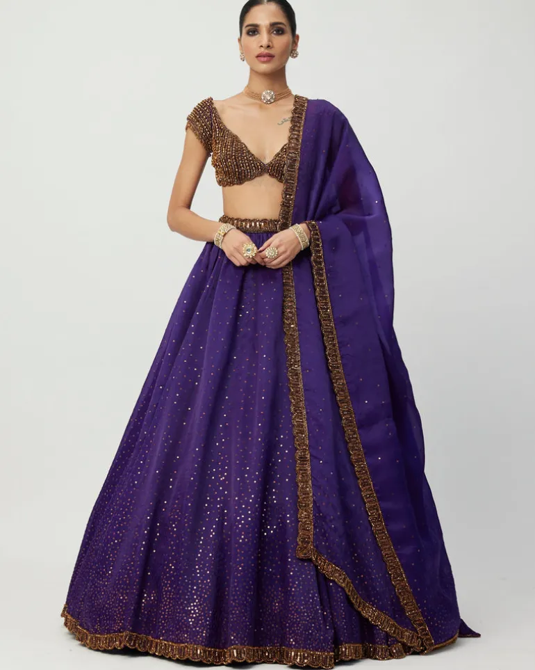 Royalty Purple Sequins Scattered Lehenga Set